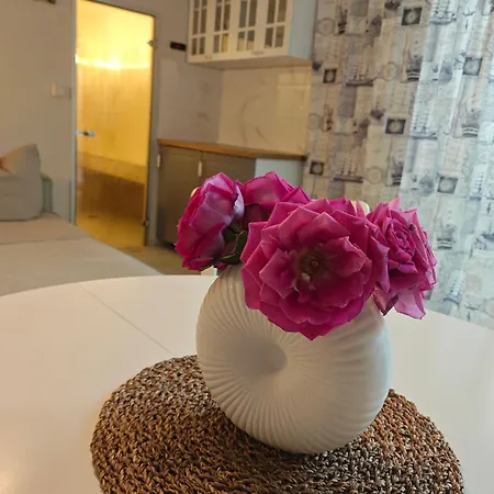 Ulyana - Athos Sea View & Διαμέρισμα Kriaritsi